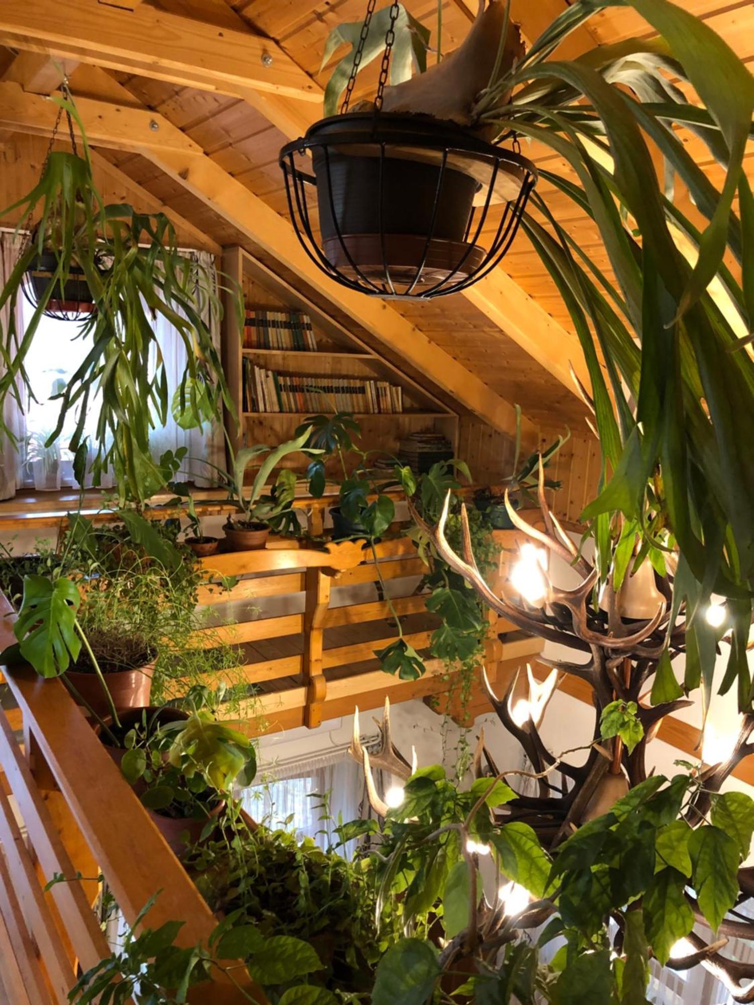 Tiszafa Vendeghaz Szentgal Hotel Екстериор снимка