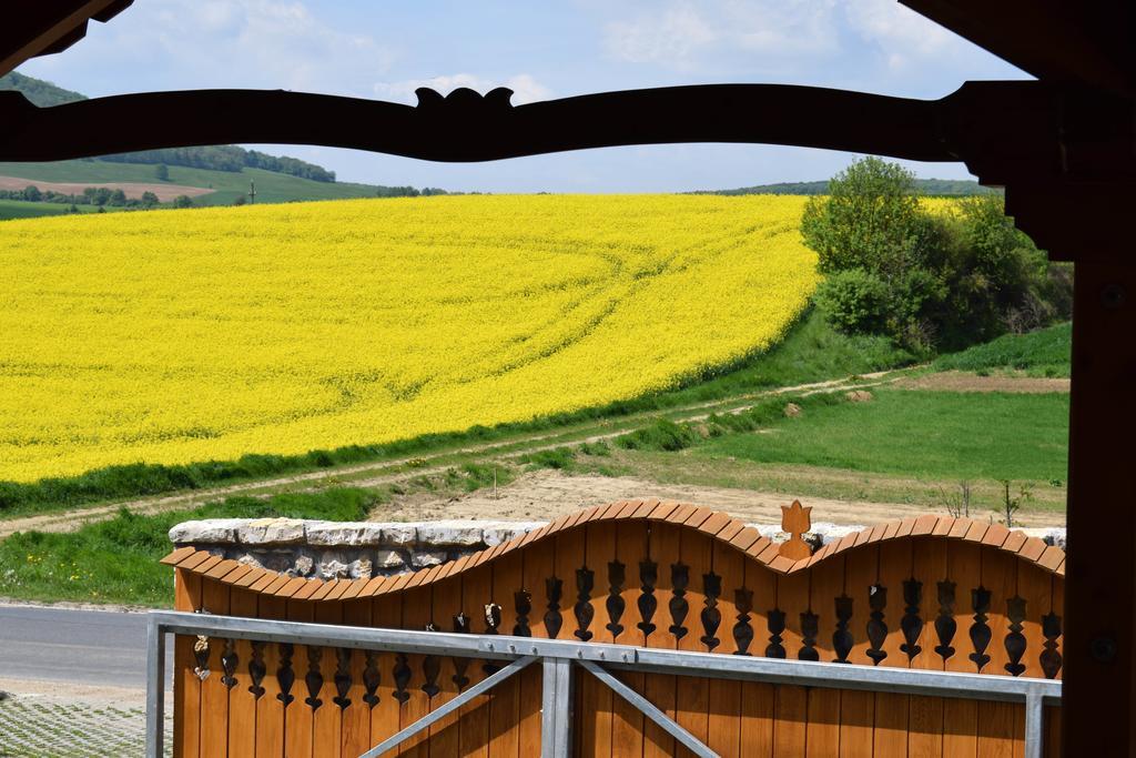 Tiszafa Vendeghaz Szentgal Hotel Екстериор снимка